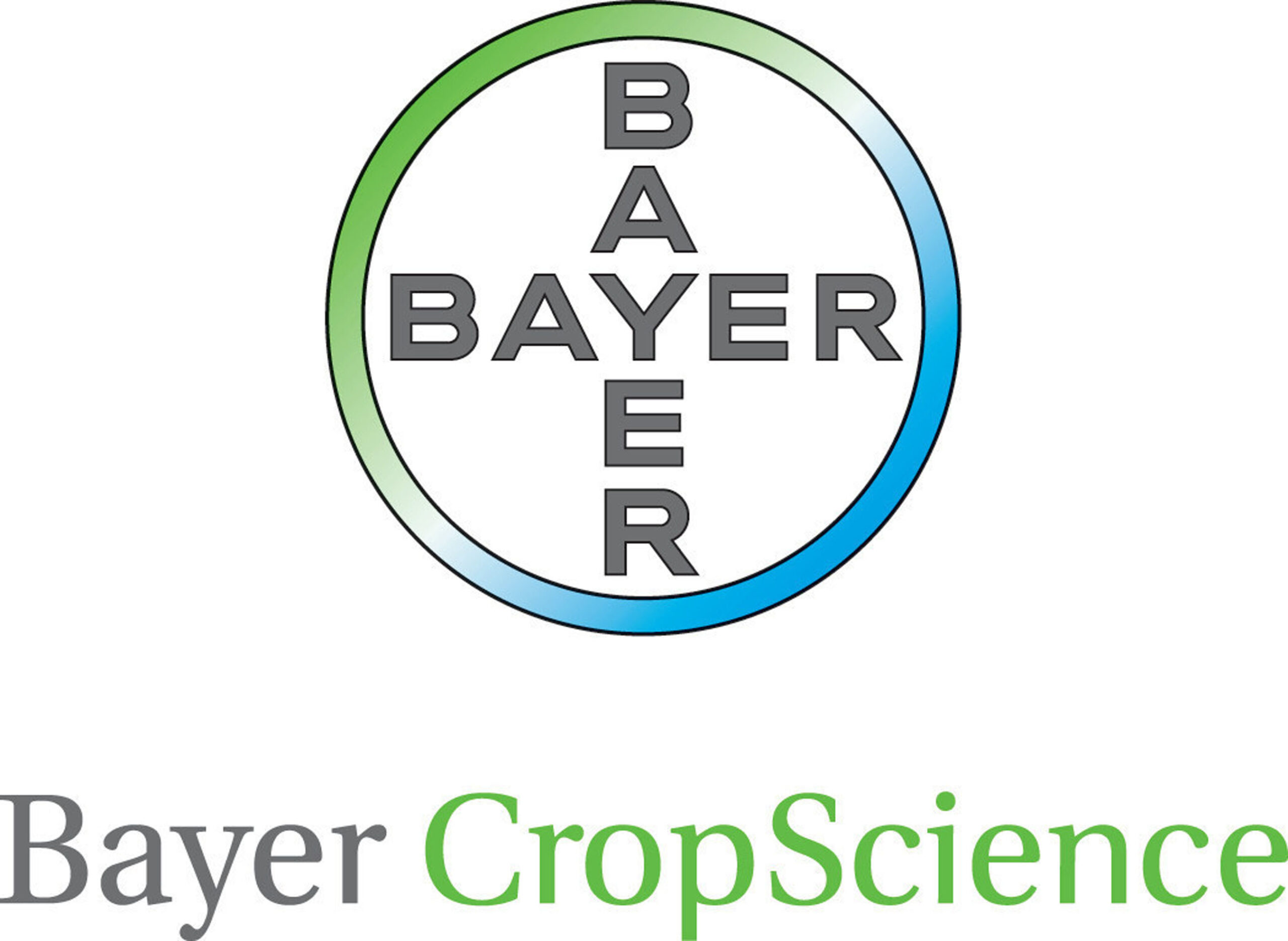 Company Name